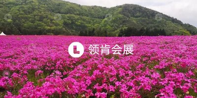 櫻花1